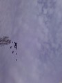  (2010-05-21 13:54:41)