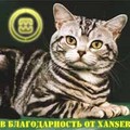 Мадонне в благодарность от Xanser!!! (2010-06-17 00:34:40)