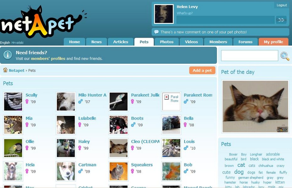 2010-06-18 02:24:50: Клео  была -  "Pet of the day" на www.netapet.com (17 June)
