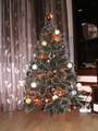  (2010-01-22 10:17:35)