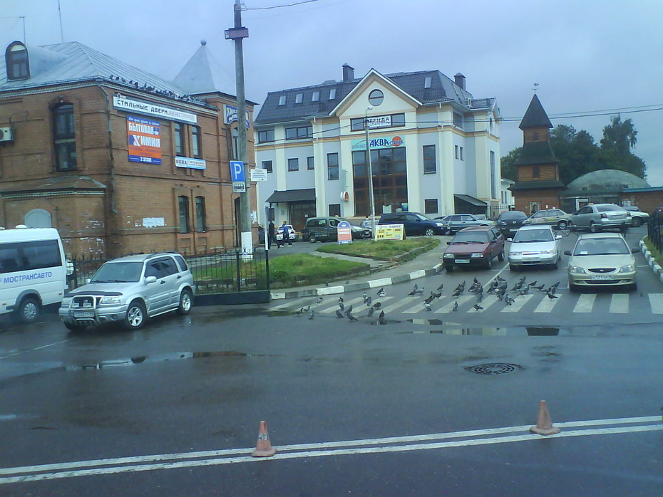 2010-09-04 01:23:49: пешеходные голуби
