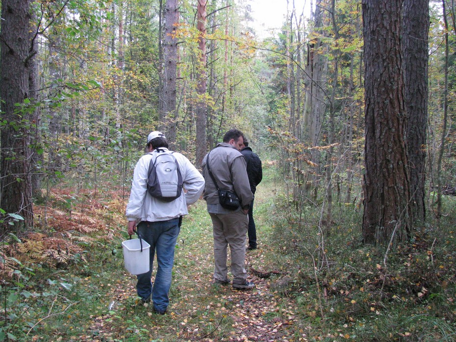 2010-09-30 20:27:43: 