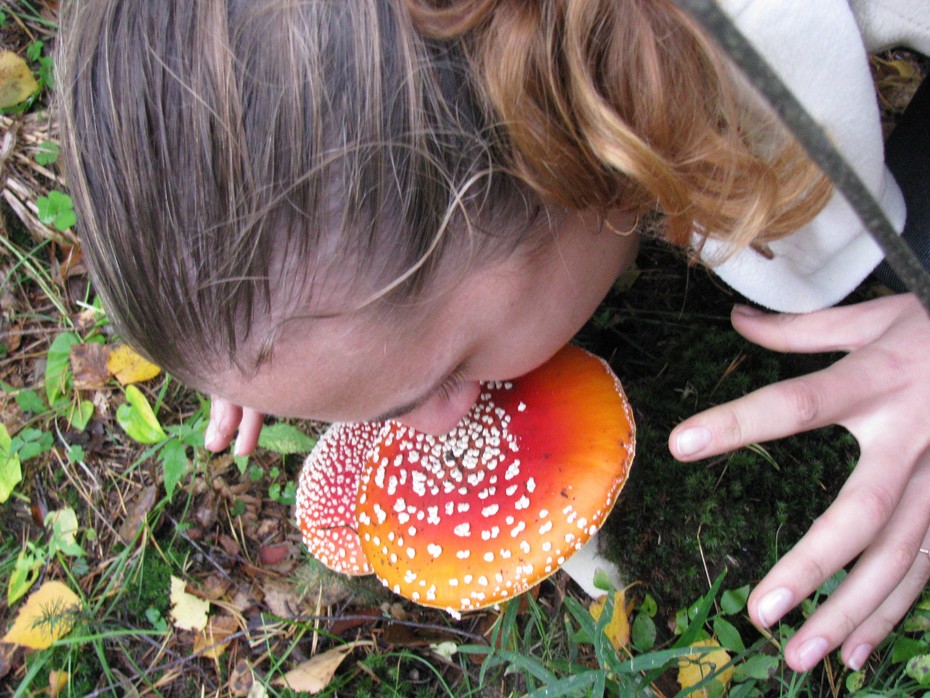 2010-09-30 20:43:29: 