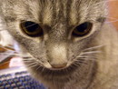  (2010-10-07 19:26:50)