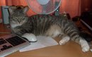  (2010-10-07 19:26:52)