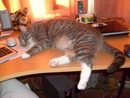  (2010-10-07 19:26:53)