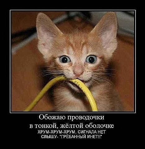 2010-10-10 17:31:12: котэ=D