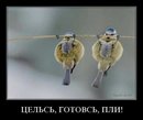 Катюшка Багинская:  | 2010-11-03 18:35:21