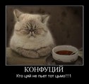  (2010-11-08 01:24:04)