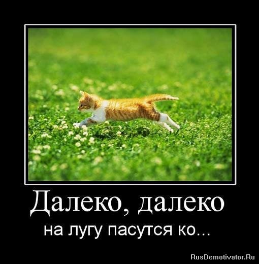 2010-11-08 01:24:04: 