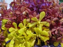  (2010-11-24 18:45:03)