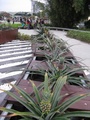  (2010-11-24 18:47:08)
