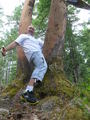  (2011-07-06 06:46:01)