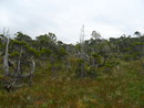 (2011-07-06 08:09:33)