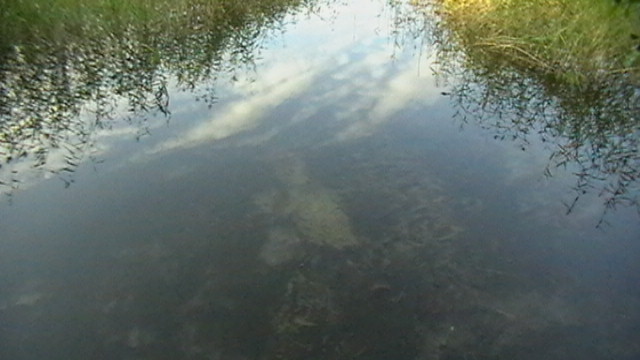 2011-08-06 07:21:12: Прозрачные воды озера Струсто