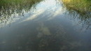 Прозрачные воды озера Струсто (2011-08-06 07:21:12)