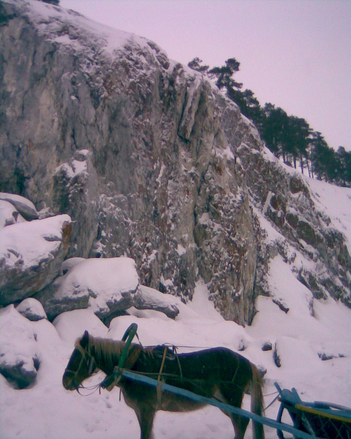 2011-02-01 15:46:57: Турбаза Арский камень, январь 2011