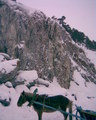 Турбаза Арский камень, январь 2011 (2011-02-01 15:46:57)