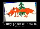 autob0t: лиса | 2012-12-26 00:58:50