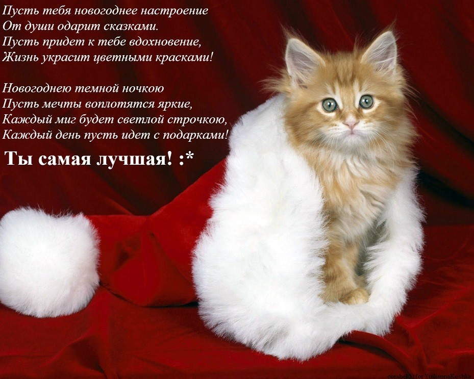 2013-01-02 19:24:42: Спасибо, Лешенька!!!