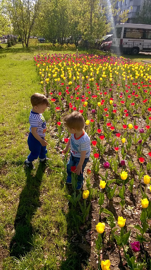 2018-05-08 07:30:46: Илюша:Тёмыч, давай нарвём нашим мамам по букетику;)) Тёма: Бро, ты что,это же административка!))